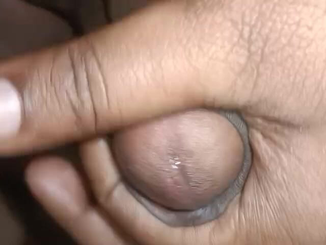 LegalVector8: Video Baru