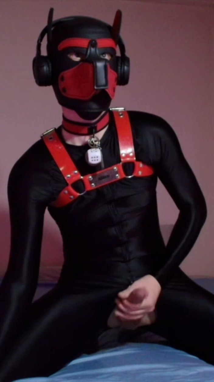 Alex GoodBoy: Remote Controlled Puppy Whimpers While Jerking off