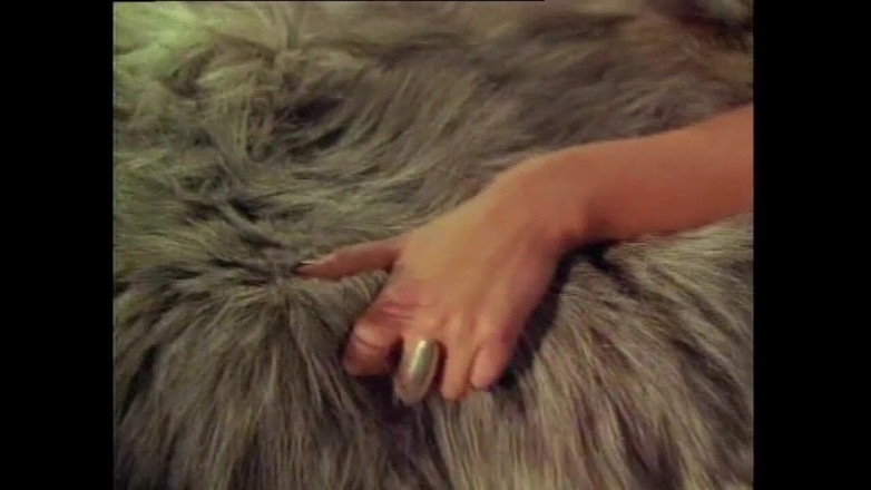 Vintage megastore: Une brune sexy se fait interdire dans une baise vintage