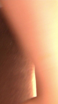 Homemade Girl Loves to Cum
