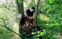 Full porn collection: Возбужденную худенькую тинку Claudia с волосатой киской трахают в задницу в лесу