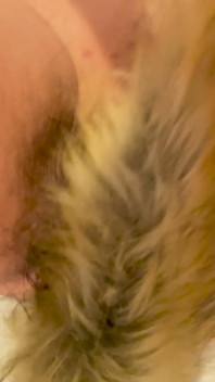 With the Foxtail Plug in the Ass