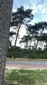 Heerlijk Geil
