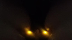 Sub_Puddlez: Divertimento oscuro