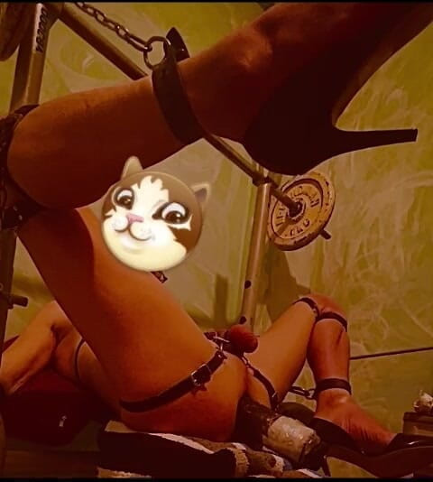 Analguy: Rozrzutnik analny