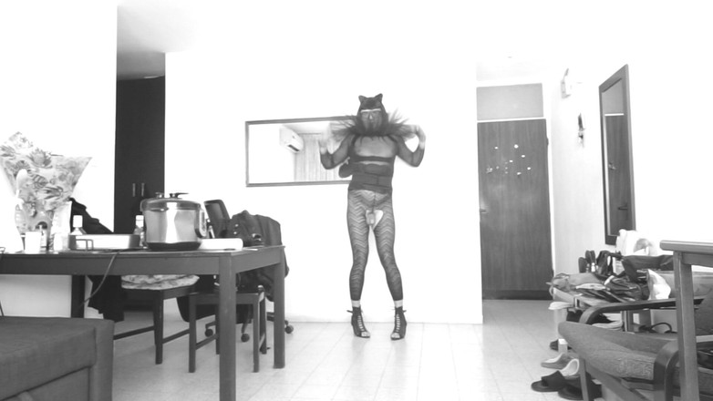 Voyager: Грайливе кошеня і розпусна повія в одне.