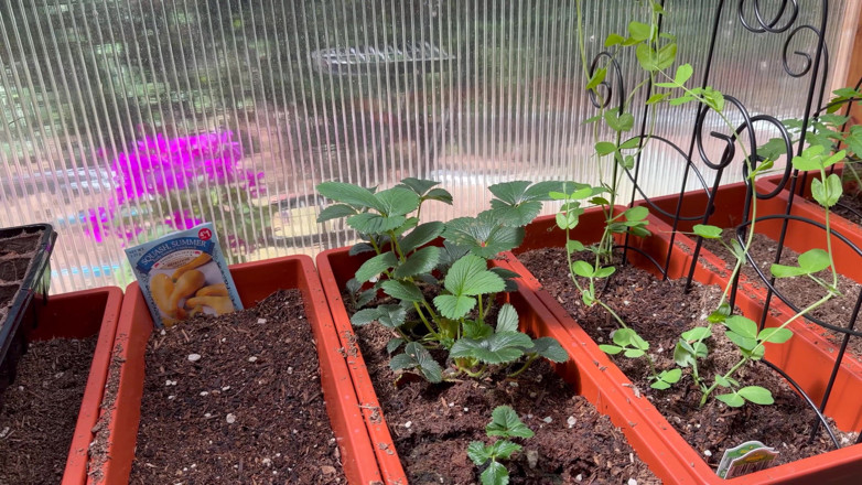Destination Kat: Spring Greenhouse Tour