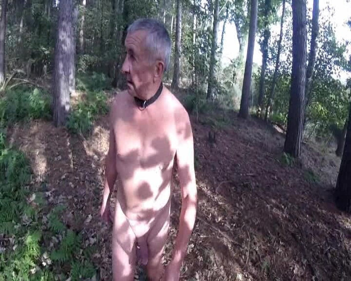 Andy: 在树林里的玩耍