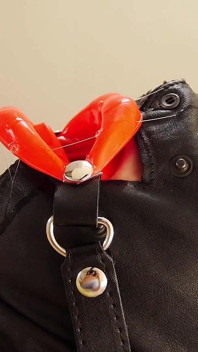 Gimp Toy