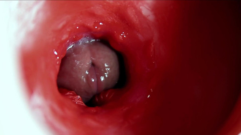 SEXY_GUYBEST: Большой красивый член обильно течет в мокрую скользкую дырку и шлепает!