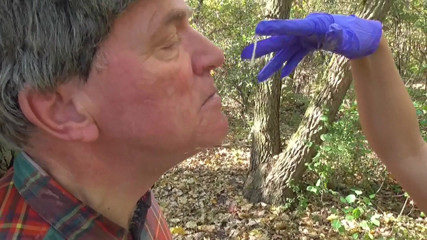 Femdom Austria: Umiliandolo con le loro spute e melma nella foresta