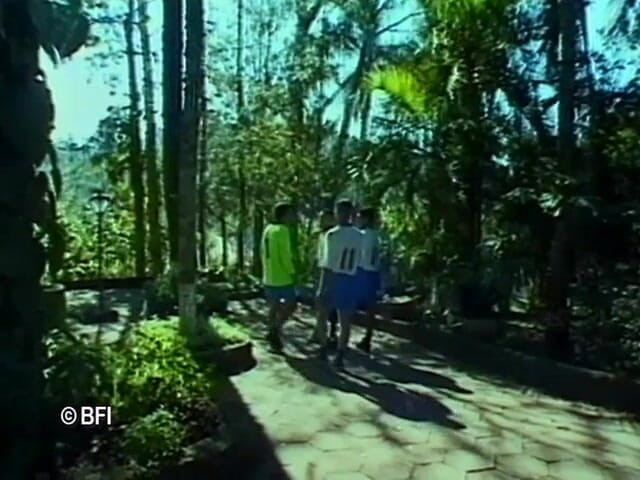 Ladyboy Paradise: Brazilian shemale