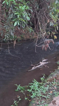 Degli sconosciuti vengono beccati a fare sesso alla cascata.