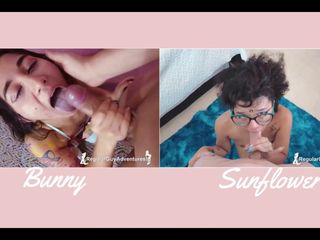 RegularGuyAdventures: Versus#3 - Bunny Vs Sunflower