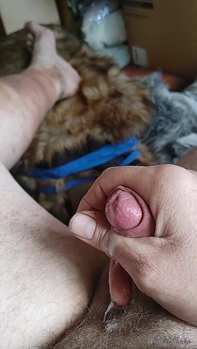 BigManShaman: Țâțând pula