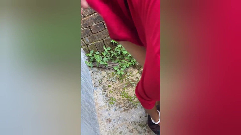 Rajiya: Fată indiancă sexy se fute cu iubitul video de sex...