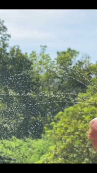 Wild & Milky: Nature Shower Edition Milky Super Power