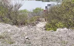 Wife Sharing on Nudist Beach While Hubby Records, Teenage Slut Gets Fucked by a Random Guy on a Nudist Beach