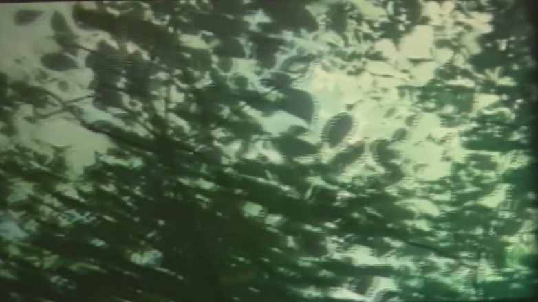 VintageXMovies: Vintage Desiree Cousteau MILF båt- och strandmöten