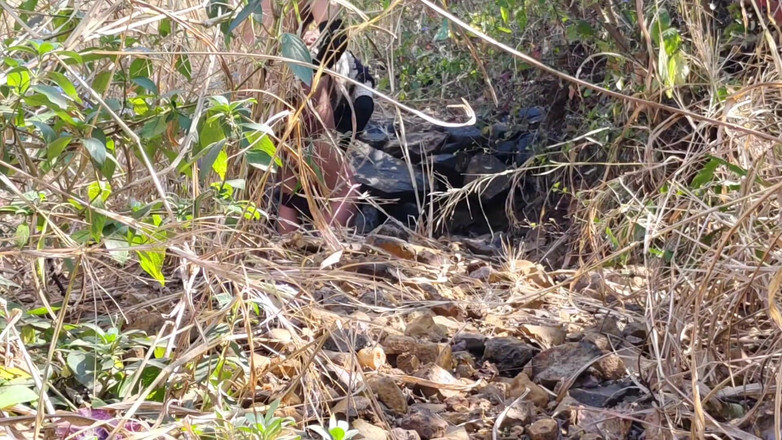 Sexy biwi: Saya mengongkek teman wanita tua saya di dalam hutan