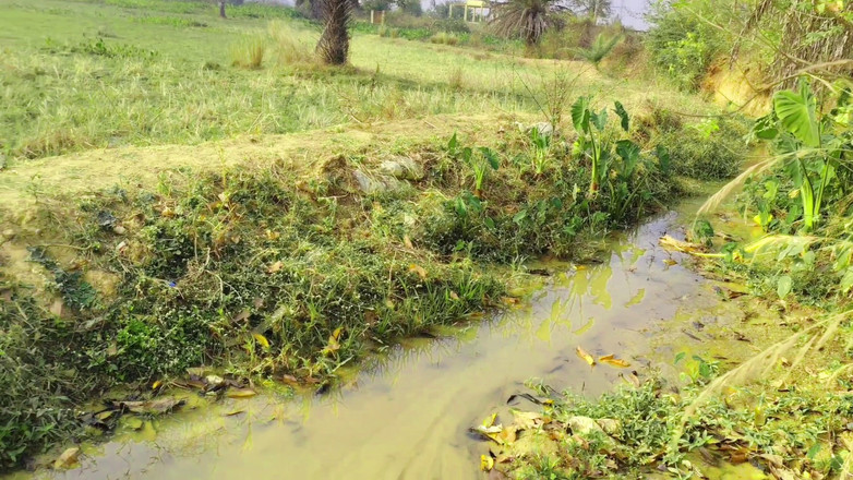 Ankush raj: Đụ chị kế của bạn với lý do đi bộ trên...