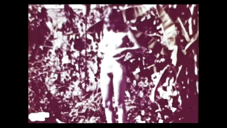 Close Encounter Vintage: Vintage porn retro erotic theatre - wild sex 5