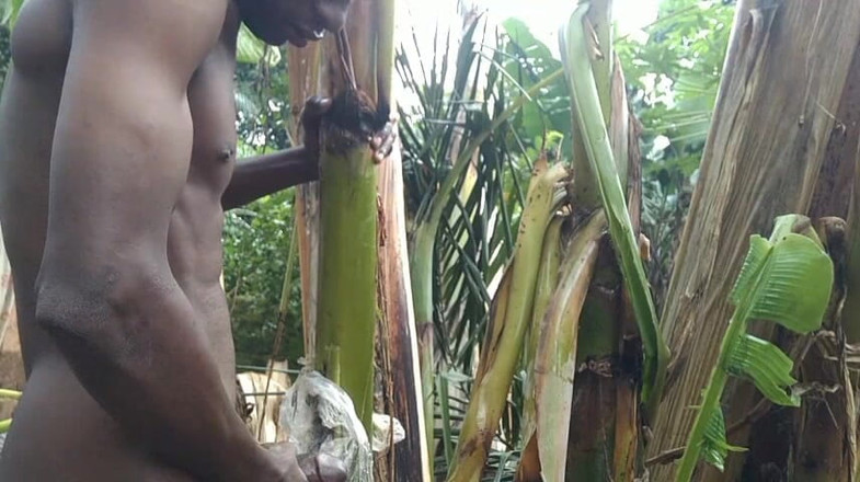 Bangcum8: 男は森の中で一人でオオバコの木を妻にしてファックします
