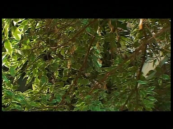 Vintage megastore: Những con đĩ trẻ xinh đẹp và máy bay bà già nóng...