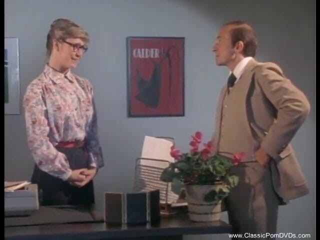 Classic Porn DVDs: Sexy secretary is getting fucked by her boss