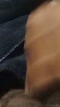 BBW Trans Ebony Asexual Masturbation #8