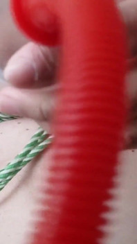 Titisbdsm1