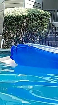 Asistenta Vicki Modele Noul Ei Bikini De La Piscina Vă Expune Apoi
