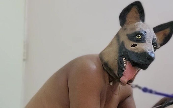 Indiansissychubby: My New Pet