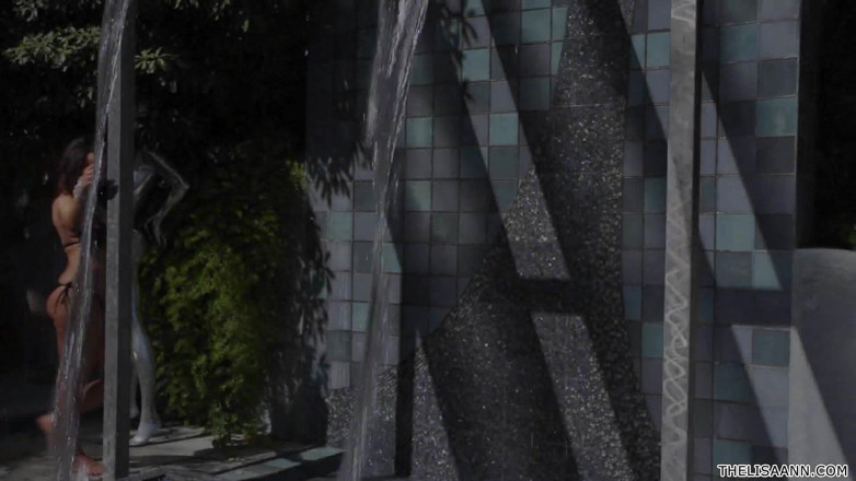 The Lisa Ann: Lisa Ann reçoit un jeune étalon sexy pour faire ce qu’elle...