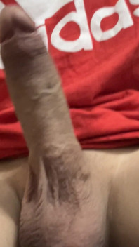 Stock My Cock