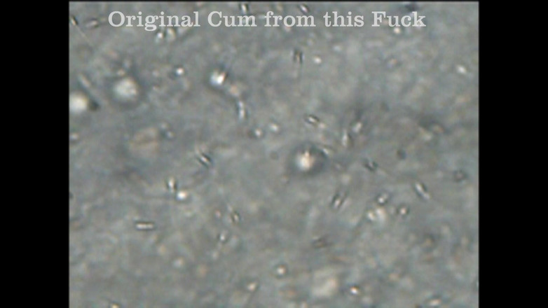 Mark Hannes: Światło ciała pieprzyć masturbację i spermę pod lupą