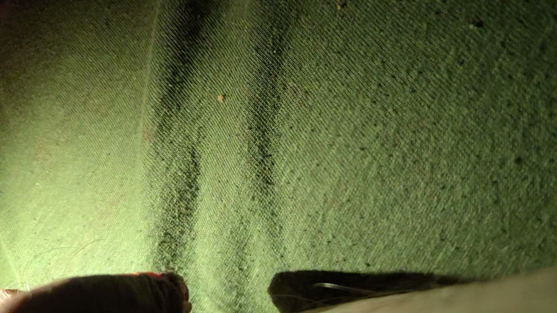 Onwdomu3: Macro and Electric Ball on My Dick