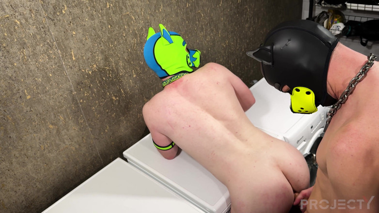 Project Y studios: Laundry Day