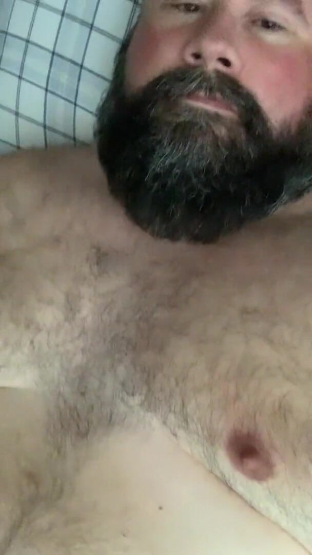 Florida Bear: Morning Wood - 10-09-2021