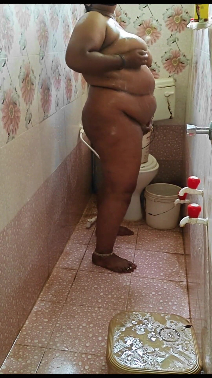 RoyToy: Bathroom Sex with My Son in Law