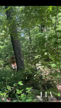 你喜欢这个视图宝贝吗？