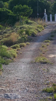Wetting Jeans on a Bare Foot Hike