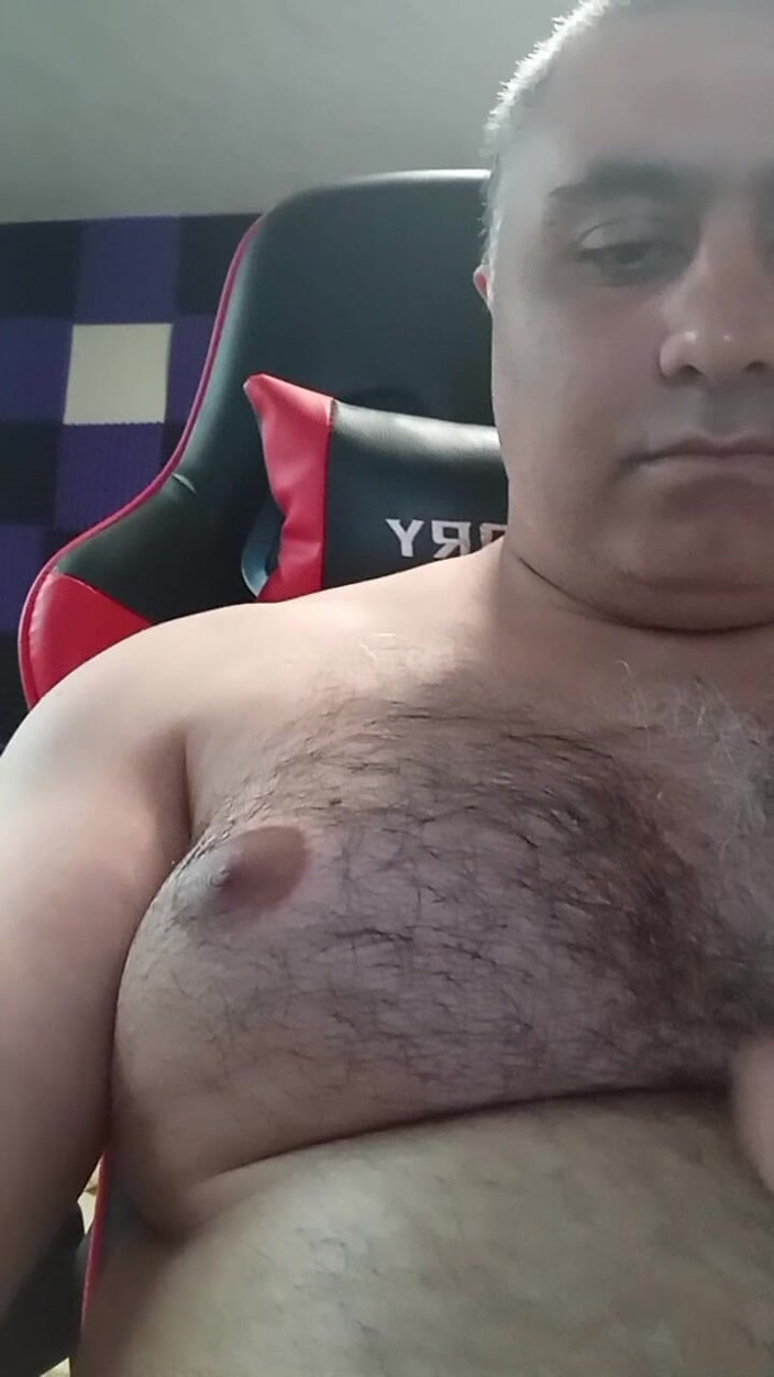 Solo bear (German guy): Bear and Cub