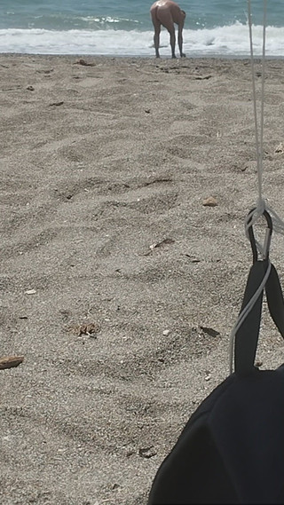 Morbosete000: Sulla Spiaggia Nudo a Godersi