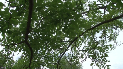 Nude in France: Krótkowłosa cycata francuska milf pomaga taksówkarzowi łagodzić stres, dając jej tyłek...