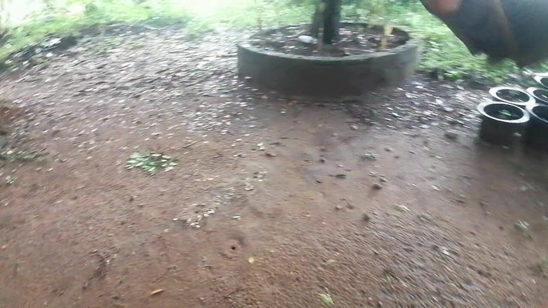 Tina Baby: 我的继女在被勾引之前