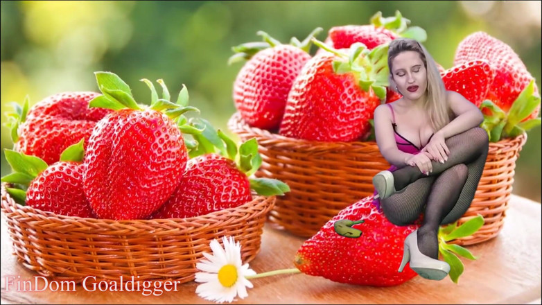 FinDom Goaldigger: Mijn visnetten maken je homo!