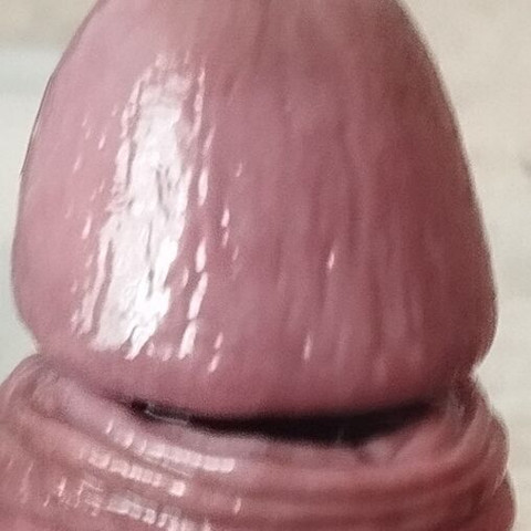 Faphouse