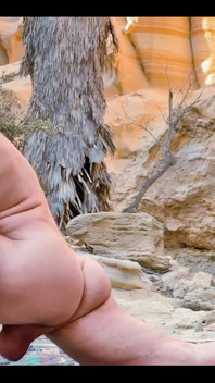 Morning Wood Yoga