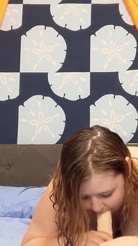 Vlastní pov bj s gf sledování